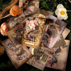 cat and flower scrapbook paper b4