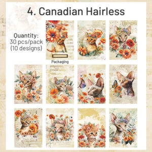 cat and flower scrapbook paper sku 4