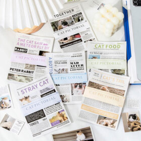 Cat Pictorial Series Cat Sticker Book