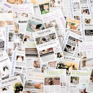 cat pictorial series cat sticker book b2