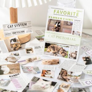 cat pictorial series cat sticker book b3