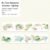 16. Four Seasons Volume - Spring