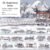 20. Auspicious Snow