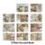3.Plant Account Book