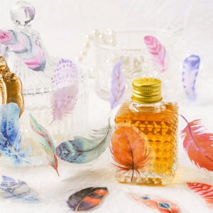 Colorful Vintage Feather Clear Transparent Sticker