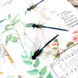 creative butterfly dragonfly decorative pet stickers c2
