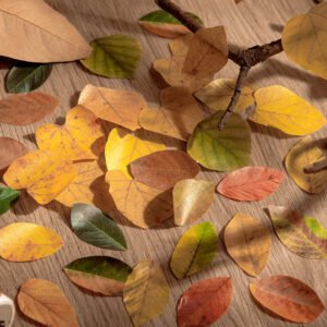 creative fallen leaves decorative washi tape sticker b3