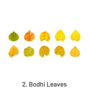 creative fallen leaves decorative washi tape sticker sku 2