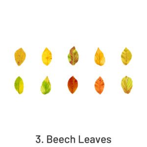 creative fallen leaves decorative washi tape sticker sku 3