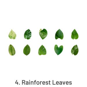 creative fallen leaves decorative washi tape sticker sku 4