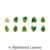 4. Rainforest Leaves