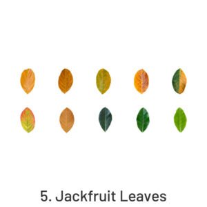 creative fallen leaves decorative washi tape sticker sku 5