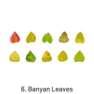 creative fallen leaves decorative washi tape sticker sku 6