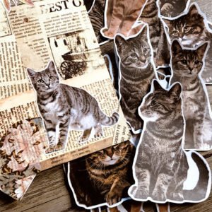 Cute Cat Kitten Adhesive Sticker cute cat kitten adhesive sticker b1