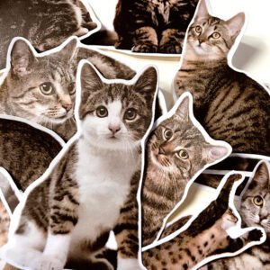 Cute Cat Kitten Adhesive Sticker cute cat kitten adhesive sticker b2