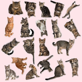 Cute Cat Kitten Adhesive Sticker