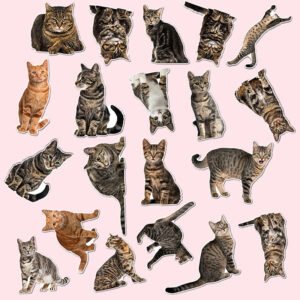 Cute Cat Kitten Adhesive Sticker