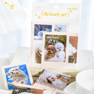 cute pet photo stickers cats dogs b5