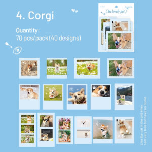 cute pet photo stickers cats dogs sku 4