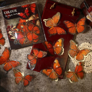 Dark Hot Stamping Gold Butterfly Clear Transparent Stickers Usage View -