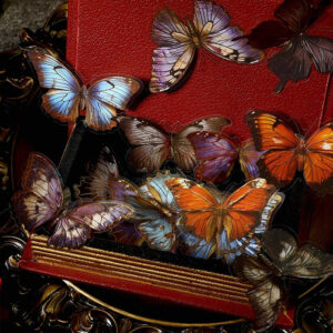 Dark Hot Stamping Gold Butterfly Clear Transparent Stickers Size Reference -