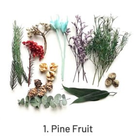 1. Pine Fruit 44g