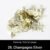 26. Champagne Silver