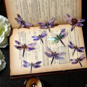 Dragonfly Holographic Hot Stamping Clear Transparent Stickers dragonfly holographic hot stamping pet stickers b3