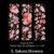 5. Sakura Showers