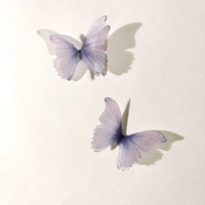 dream translucent double layer decorative butterfly b