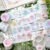5. Complete Set (10% OFF)