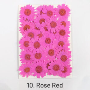 10. Rose Red
