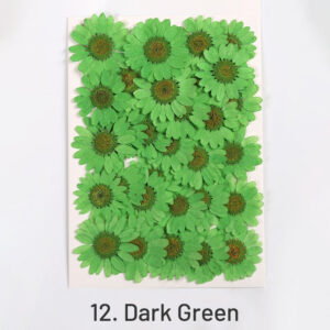 12. Dark Green