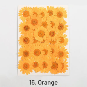 15. Orange