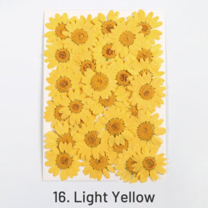 16. Light Yellow