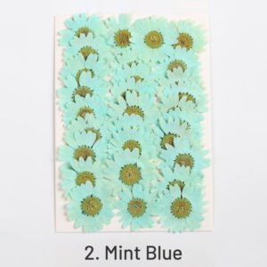 dried chrysanthemum flower embossed diy plant specimen sku 2