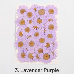 3. Lavender Purple