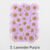 3. Lavender Purple