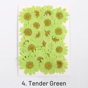 4. Tender Green