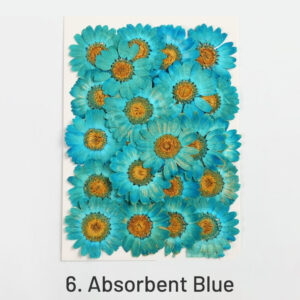 6. Absorbent Blue