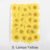 9. Lemon Yellow