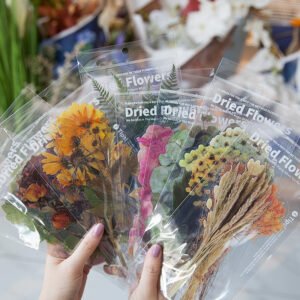 Dried Flowers and Botanicals Large Clear Transparent Sticker - Rose, Sunflower, Peony, Fern, Daffodil, Leaf