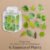 4. Essence of Plants