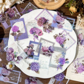 Film and Flower Clear Transparent Stickers