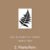2. Pteris Fern