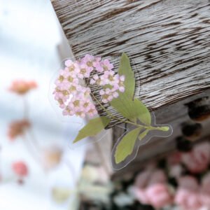 Florescence Vendor Creative Boxed Clear Transparent Flower Stickers florescence vendor creative boxed pet flower stickers c2