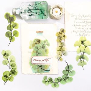 Flower of Life Series Plant Clear Transparent Stickers flower of life series plant pet stickers b7
