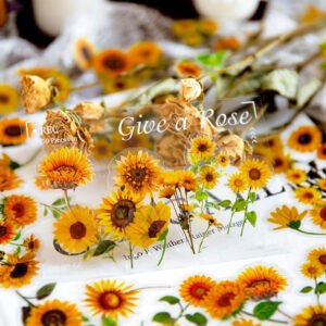flower pet stickers rose hydrangea sunflower tulip b6