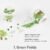1. Green Fields