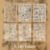 5. Life Essays
